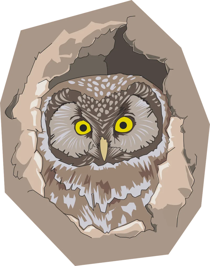 Bird Hole Nature Stickdatei – Tiere