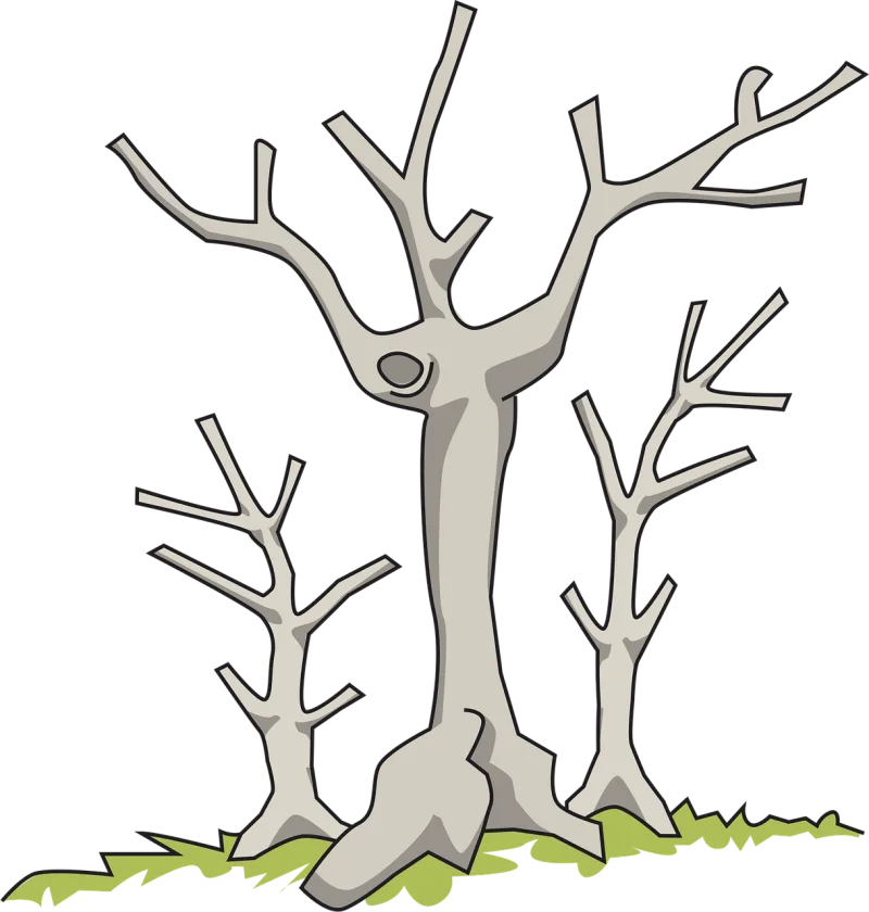 Branch Dead Nature Stickdatei – Natur