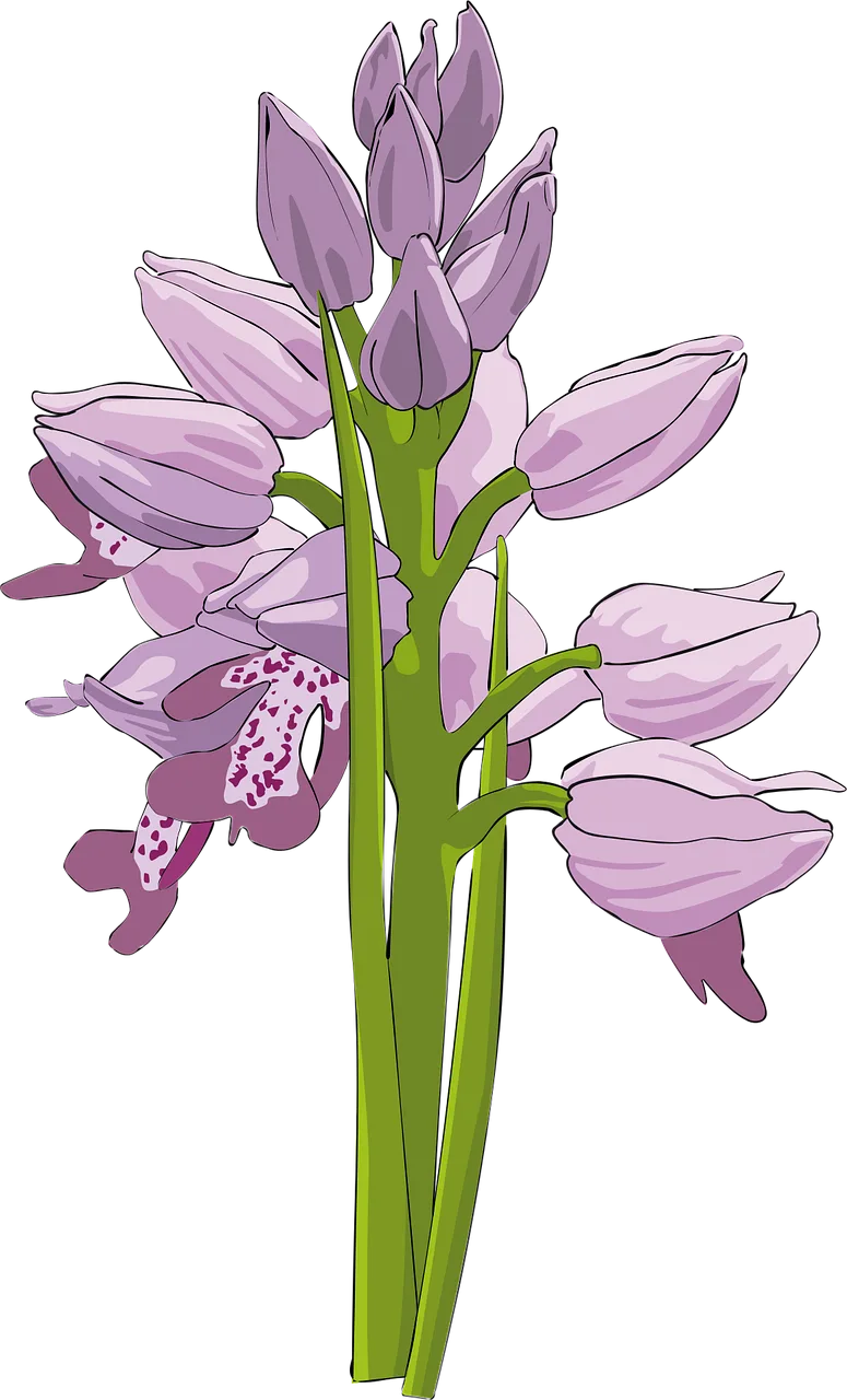Cluster Beautiful flowers Flower Stickdatei – Blumen