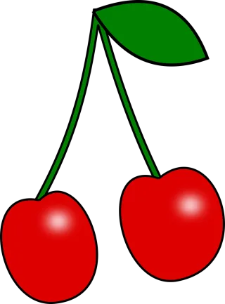 Cherry Fruit Health Stickdatei