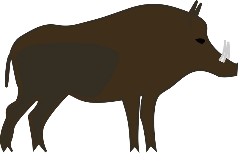 Animal Boar Forest Stickdatei – Natur