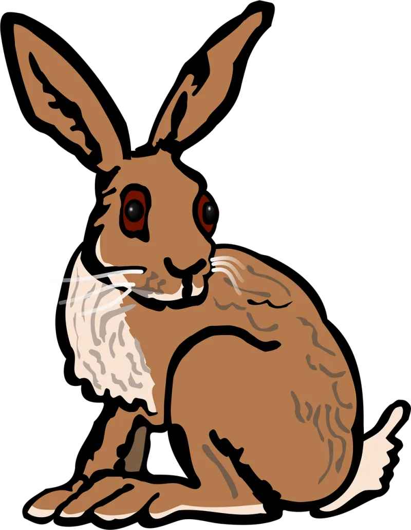Animal Bunny Hare Stickdatei – Tiere