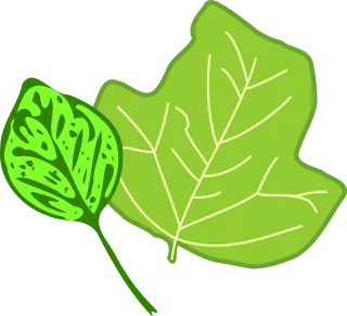Foliage Nature Leaf Stickdatei