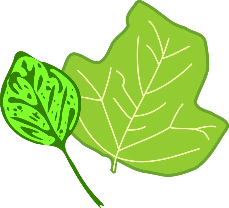Foliage Nature Leaf Stickdatei – Natur