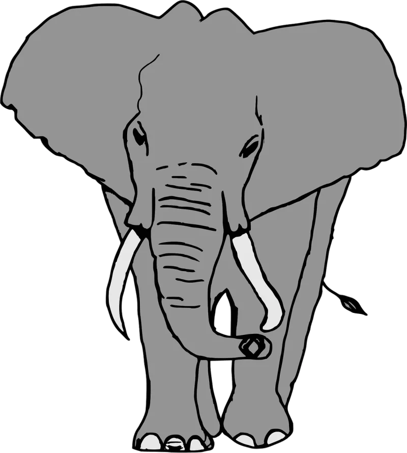 Elephant Animal Safari Stickdatei – Tiere