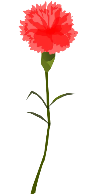 Flower Beautiful flowers Red Stickdatei