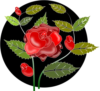 Rose Beautiful flowers Flower wallpaper Stickdatei