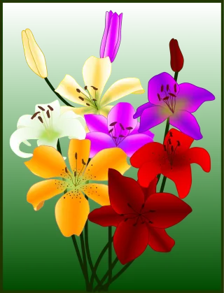 Fiori Flowers Beautiful flowers Stickdatei