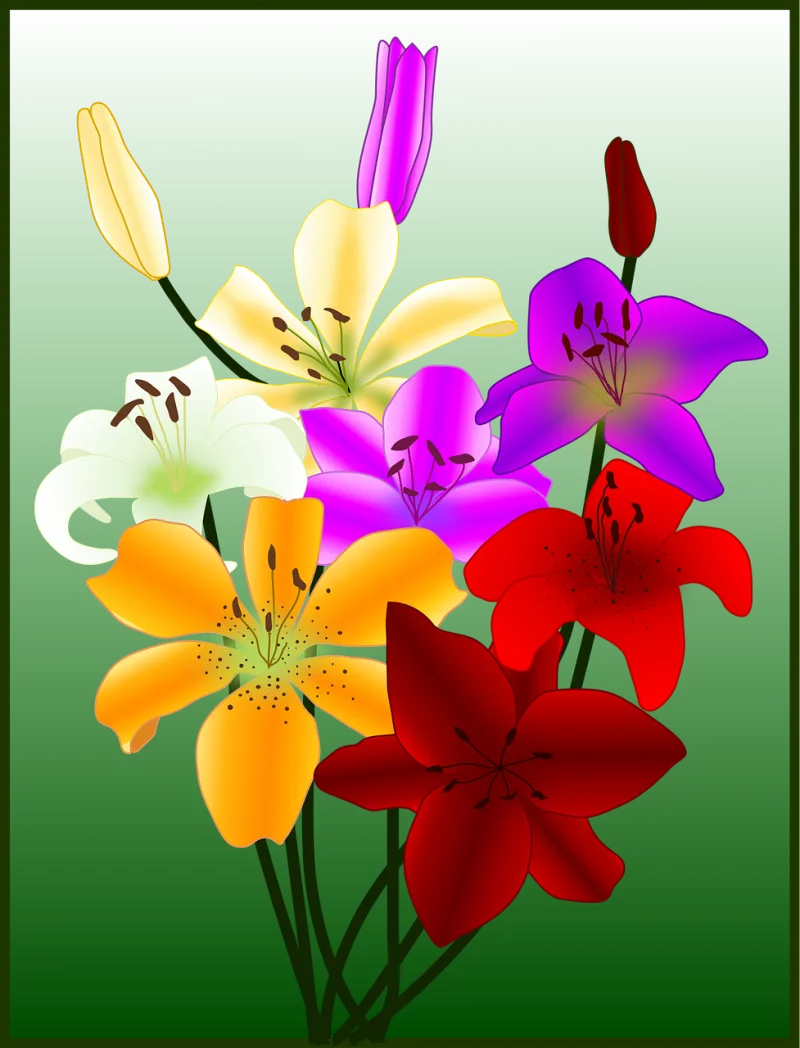 Fiori Flowers Beautiful flowers Stickdatei – Blumen