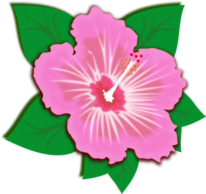 Clip art Flor Flora Stickdatei – Blumen