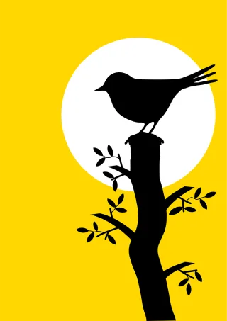 Animal Bird Blackbird Stickdatei