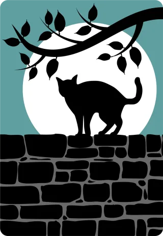 Animal Black cat Cat Stickdatei