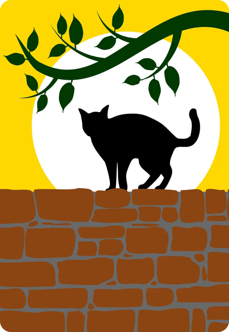 Animal Nature Black cat Stickdatei – Tiere
