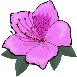 Clip art Flower wallpaper Beautiful flowers Stickdatei