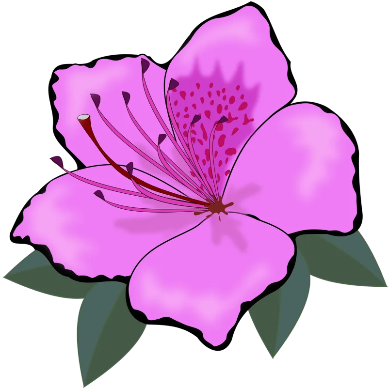 Clip art Flower wallpaper Beautiful flowers Stickdatei – Blumen