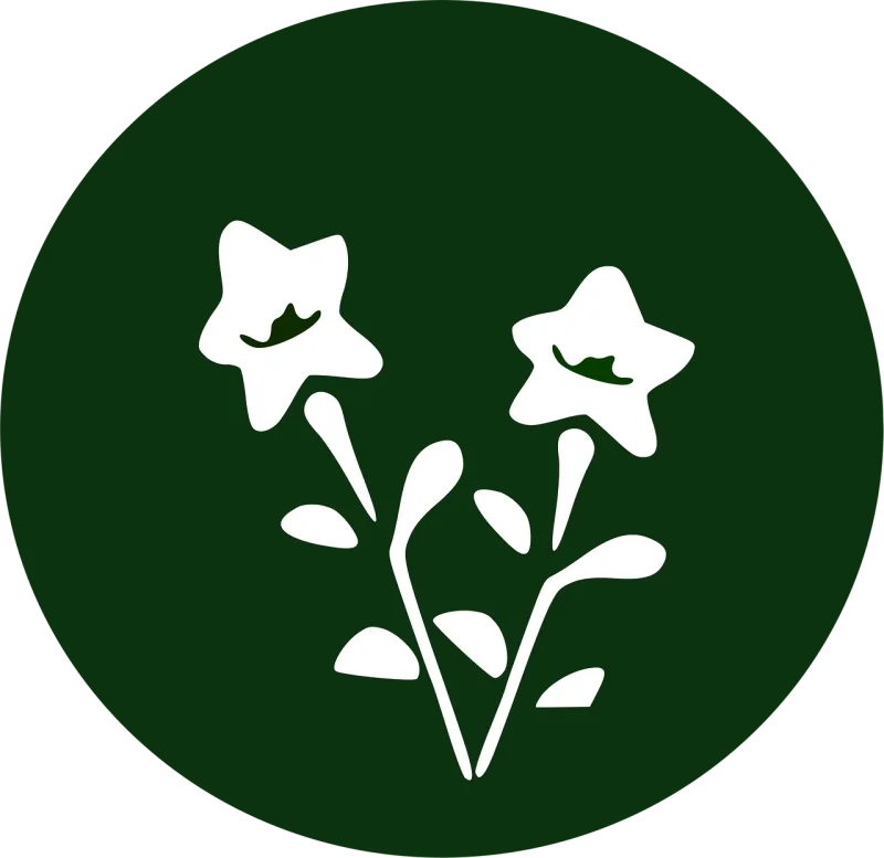Balloon flower Bell flower Nature Stickdatei – Fahrzeuge