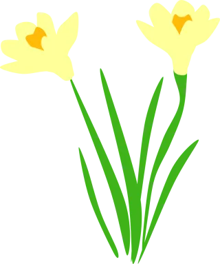 Daffodil Daffodils Flora Stickdatei