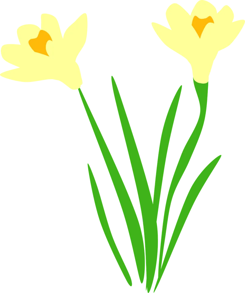 Daffodil Daffodils Flora Stickdatei – Blumen