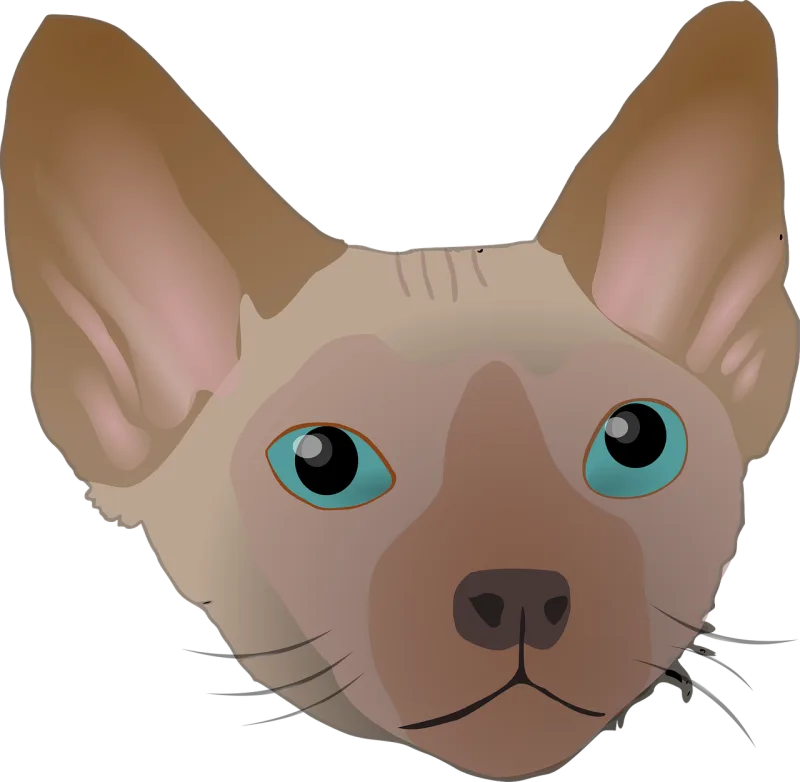 Big Animal Pet Stickdatei – Tiere