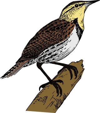 Bird Branch Nature Stickdatei