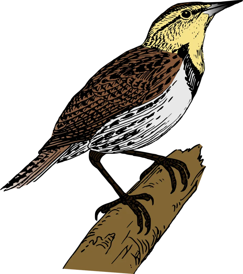 Bird Branch Nature Stickdatei – Tiere
