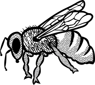 Animal Nature Bee Stickdatei