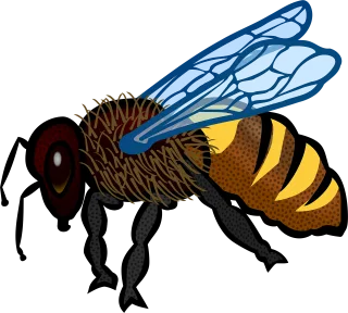 Animal Bee Nature Stickdatei