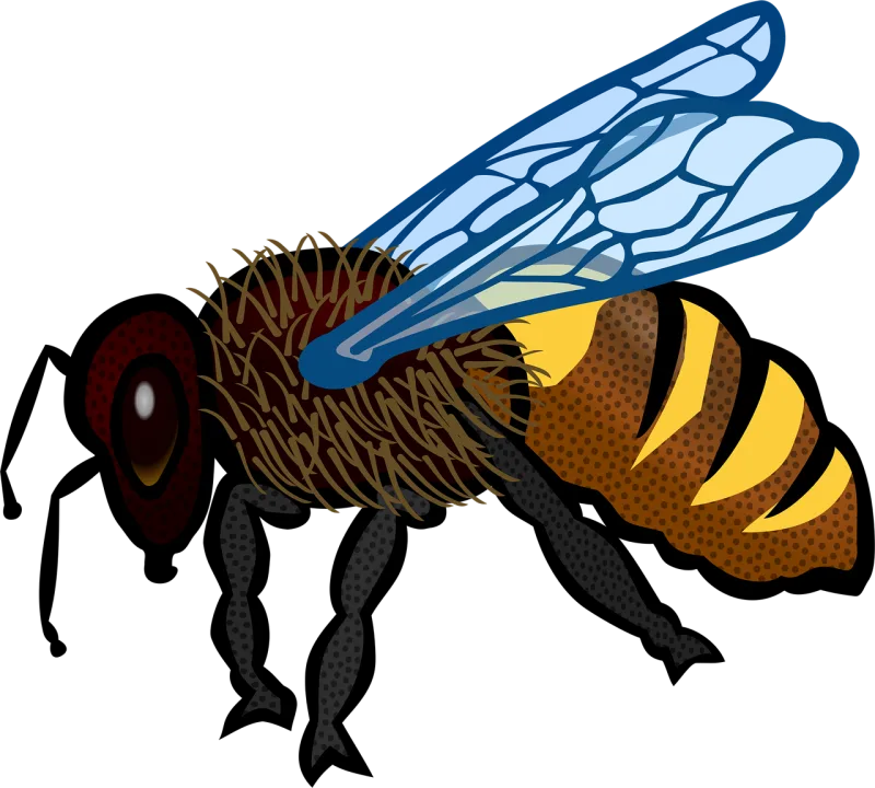 Animal Bee Nature Stickdatei – Tiere