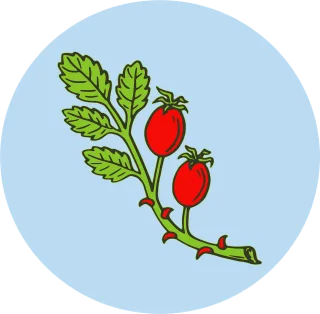 Fruit Herb Hip Stickdatei
