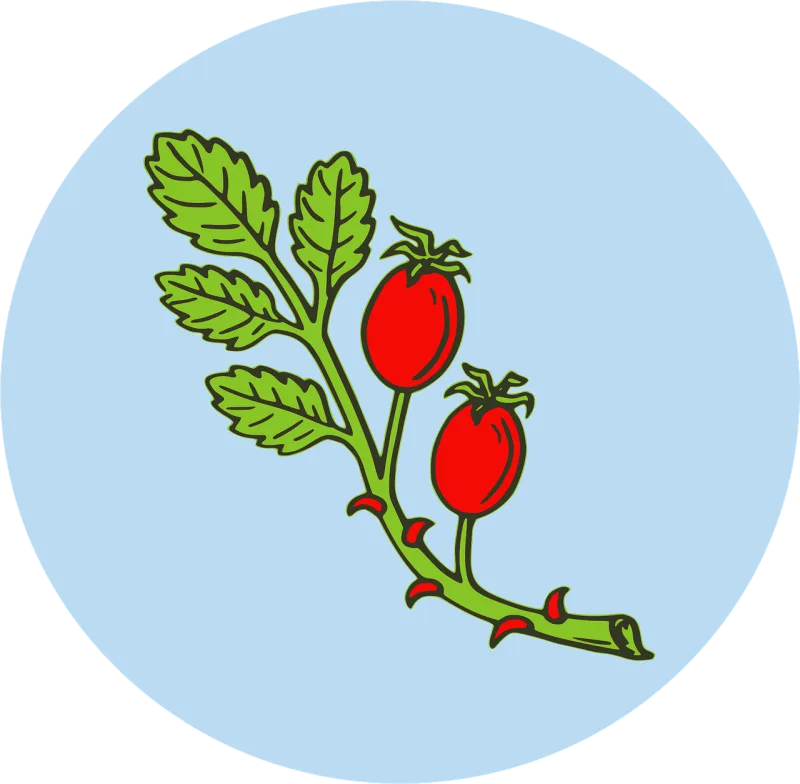 Fruit Herb Hip Stickdatei – Blumen