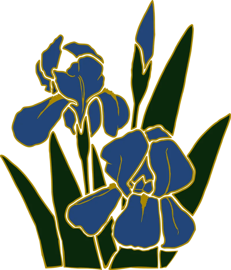 Flower Flower wallpaper Nature Stickdatei – Blumen
