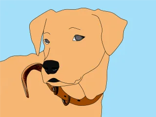Animal Nature Cartoon Stickdatei