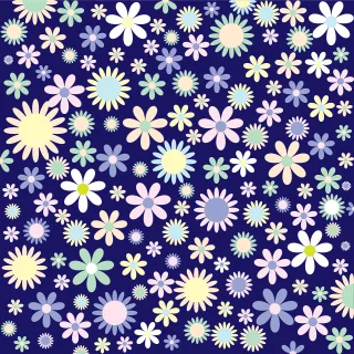 Background Flower wallpaper Colorful Stickdatei