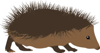 Alphabet word images Animal Hedgehog Stickdatei