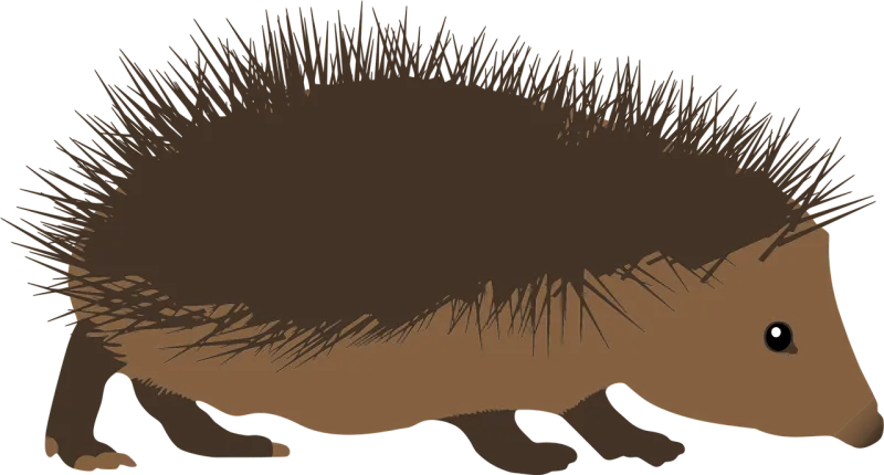 Alphabet word images Animal Hedgehog Stickdatei – Tiere