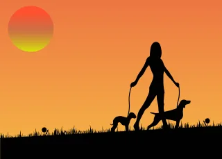 Canines Dogs Female Stickdatei