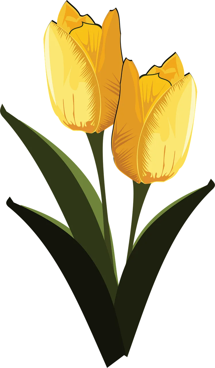 Clip art Flor Flora Stickdatei – Blumen