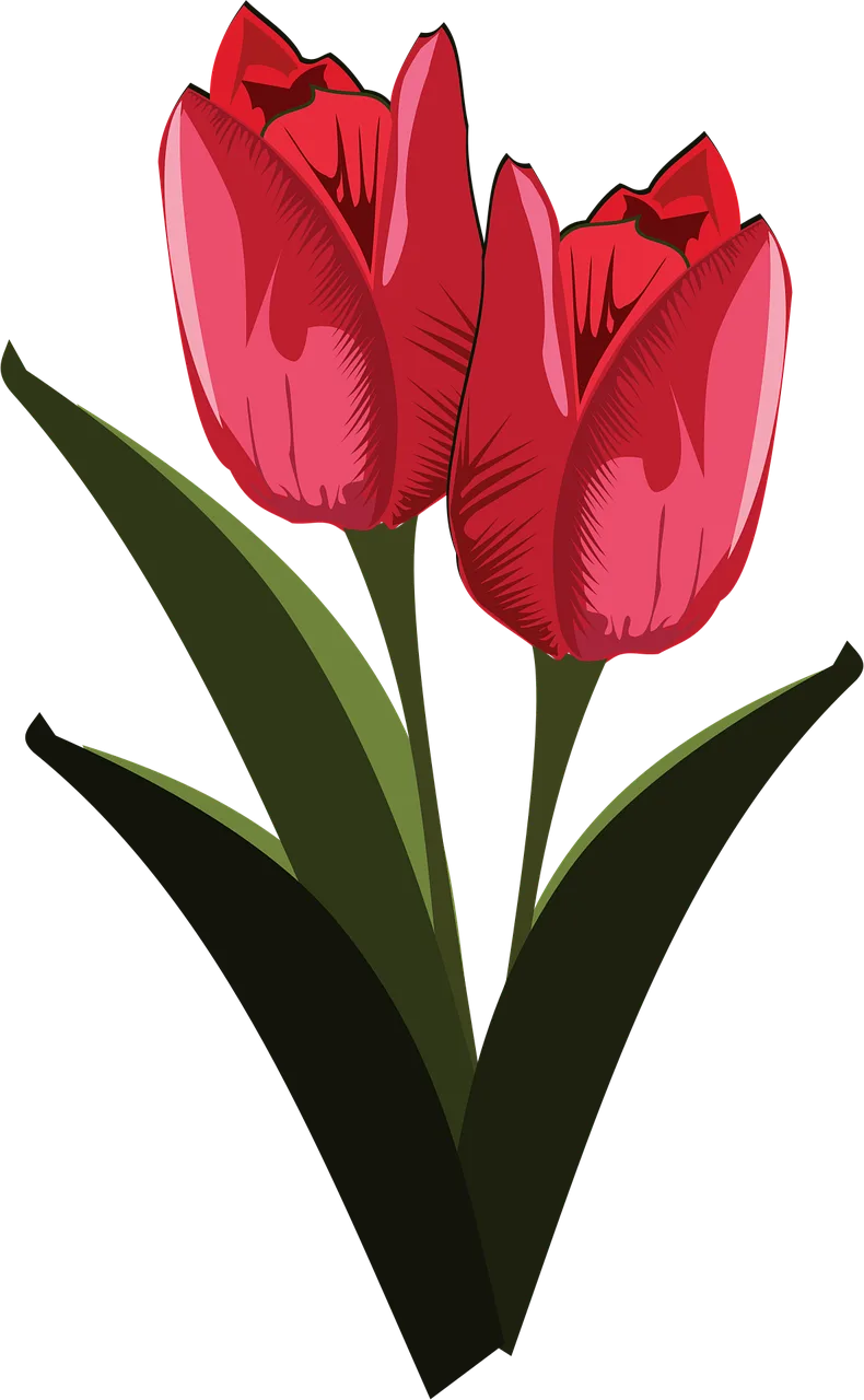 Clip art Flor Flora Stickdatei – Blumen