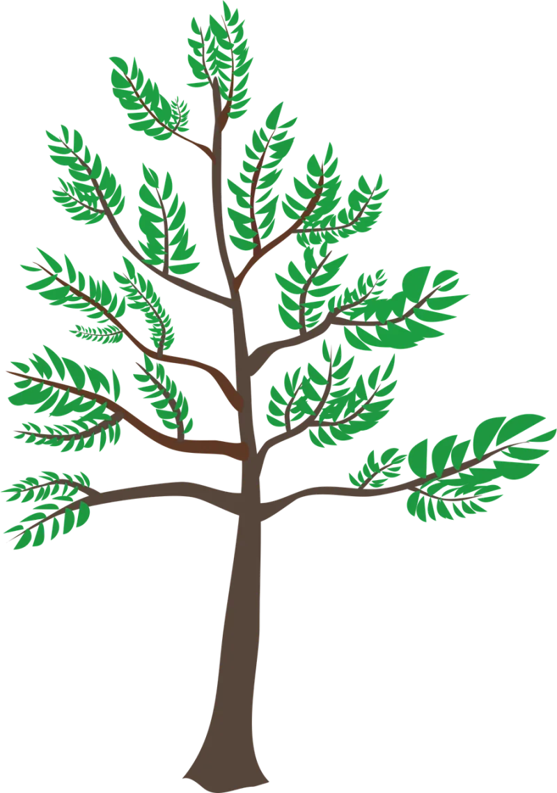 Cedar Green Heatwave Stickdatei – Natur