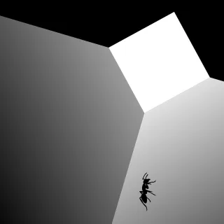 Ant Box Daily clipart Stickdatei