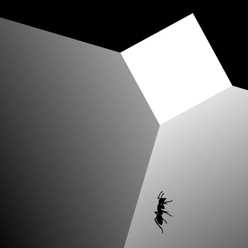 Ant Box Daily clipart Stickdatei – Sport