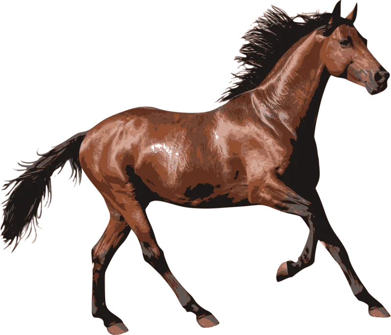 Horse Race horse Animal Stickdatei – Sport