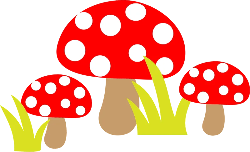 Fungus Mushrooms Poisonous Stickdatei – Natur