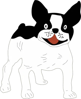 Animal Nature Black and white Stickdatei