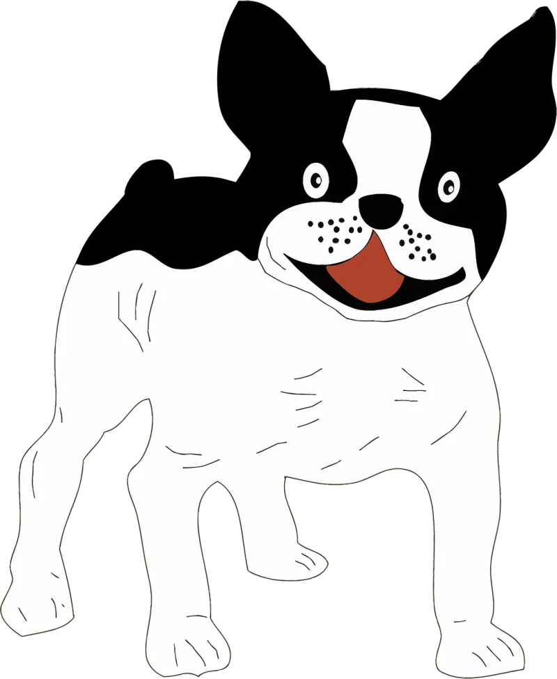Animal Nature Black and white Stickdatei – Tiere