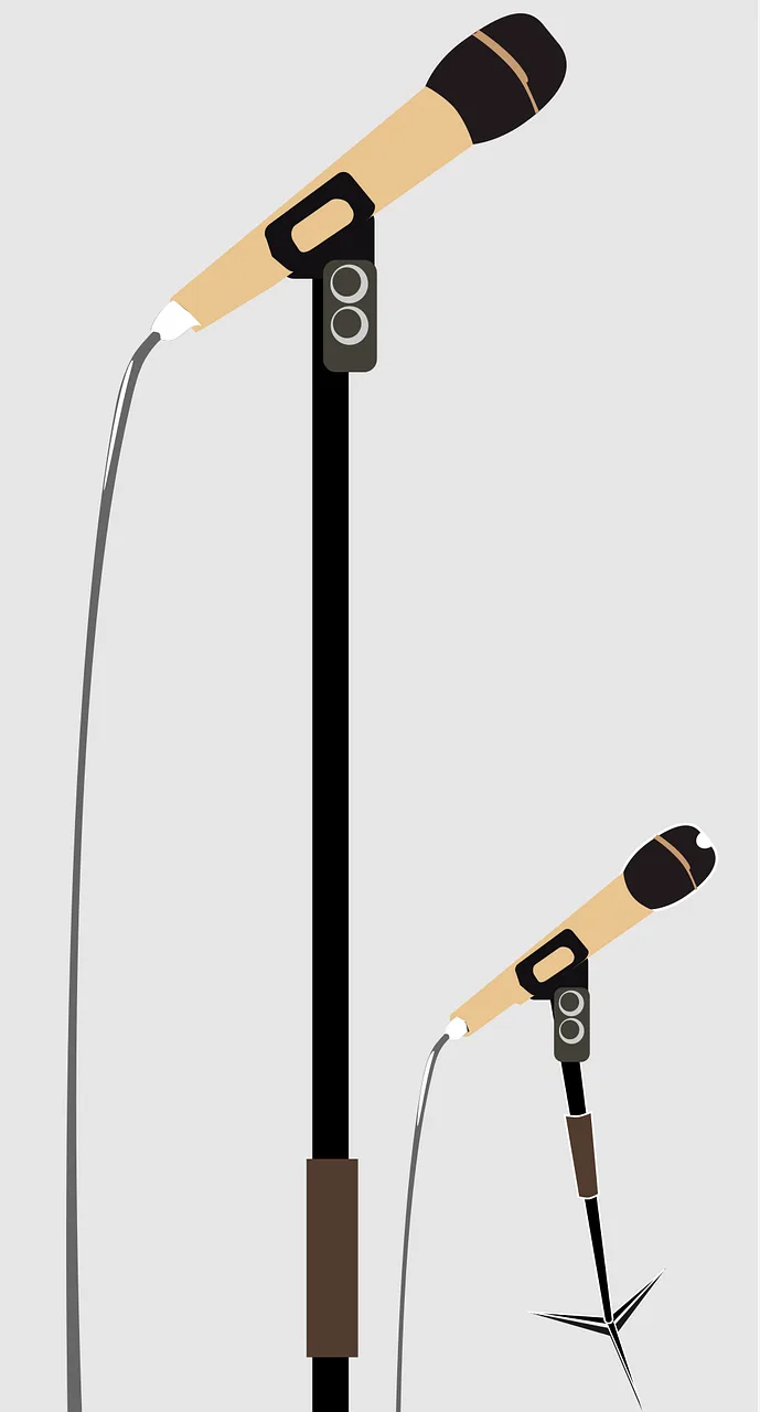Microphone Audio Record Stickdatei – Musik