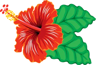 Flower Beautiful flowers Flower background Stickdatei