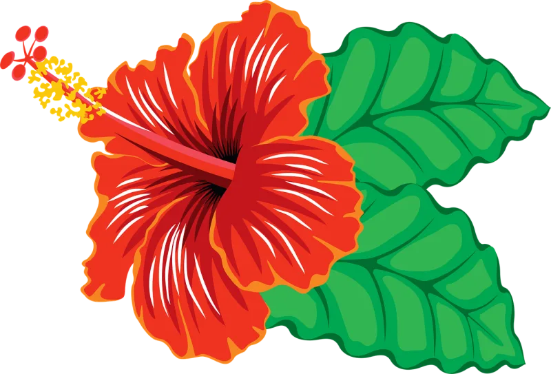 Flower Beautiful flowers Flower background Stickdatei – Blumen