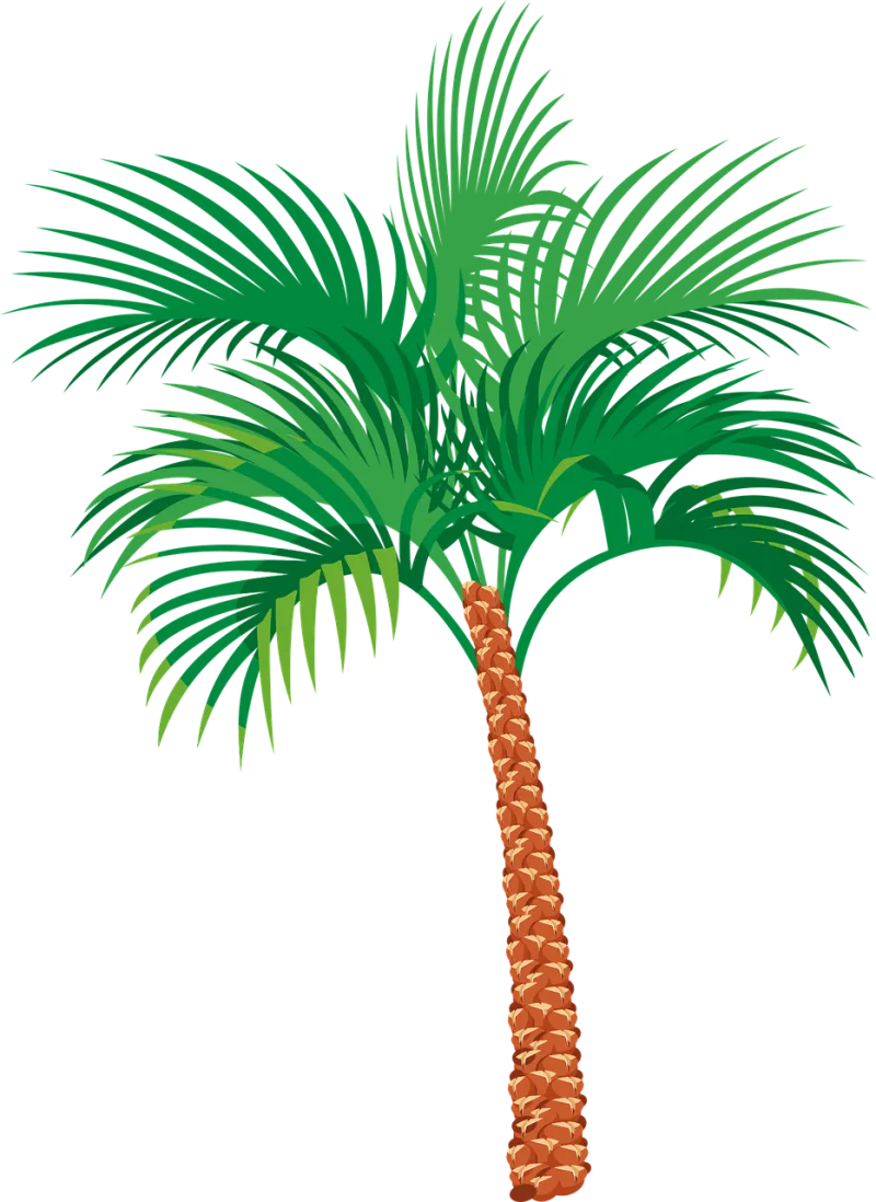 Palm tree Exotic Vacation Stickdatei – Natur