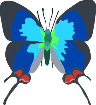 Animal Bug Butterfly Stickdatei